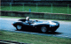 [thumbnail of (race)1956 Jaguar Type D Short Nose Roadster.jpg]